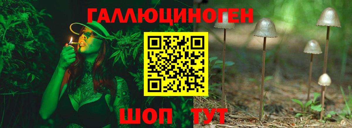 Жуковский  Галлюциногенные грибы GOLDEN TEACHER  Галлюциногенные грибы прущие грибы  купить наркотик  Вход с VPN 